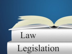 Law and Legislation by Stuart Miles